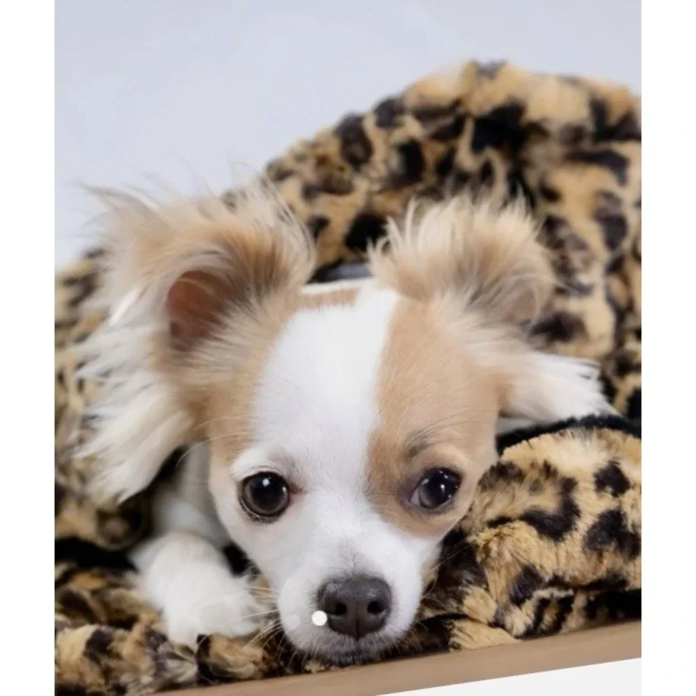 Susan Lanci Cuddle Cup Cheetah 3-in-1 Piece Luxury Pet Pamper Tumble Blanket Bed